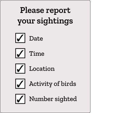Please report your sightings
