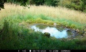 CameraTrap